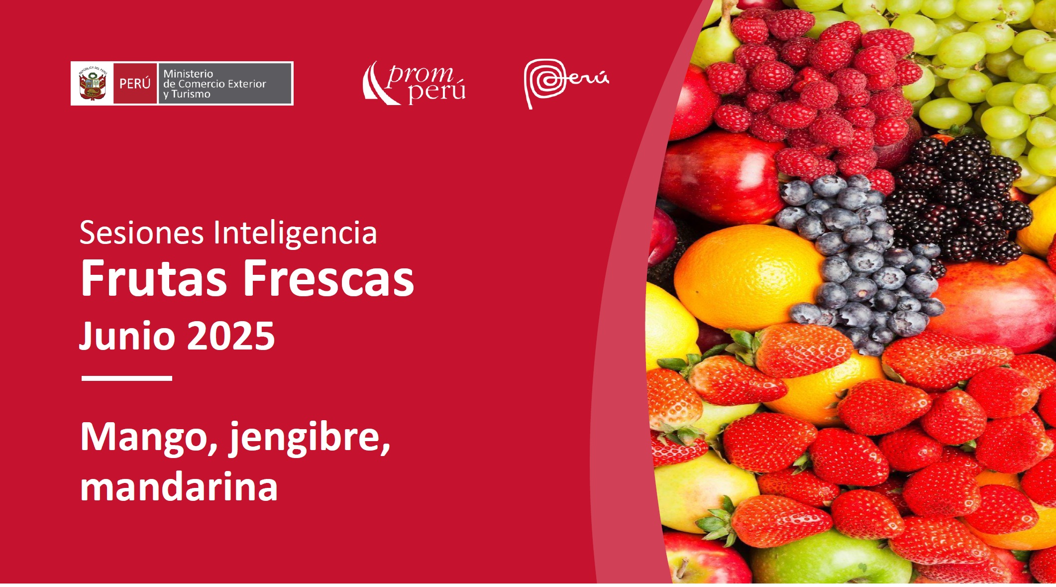 Coyuntura Sectorial - Frescos Junio 25' (mango, jengibre, mandarina)